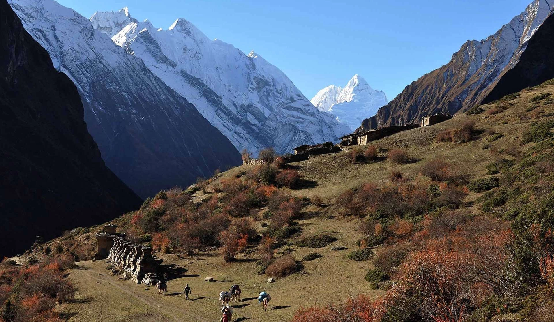 tsum valley
